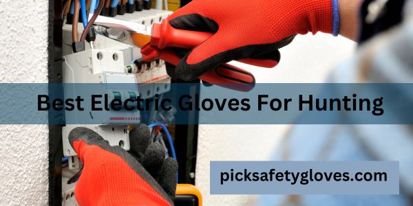 Best Electric Gloves For Hunting