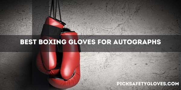 Best Boxing Gloves For Autographs