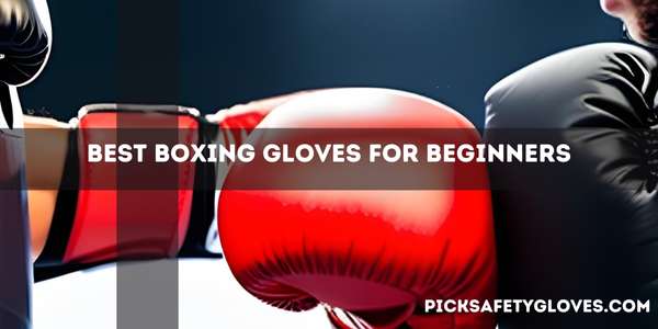 Best Boxing Gloves For Beginners