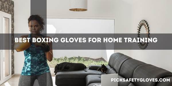 Best Boxing Gloves For Home Training