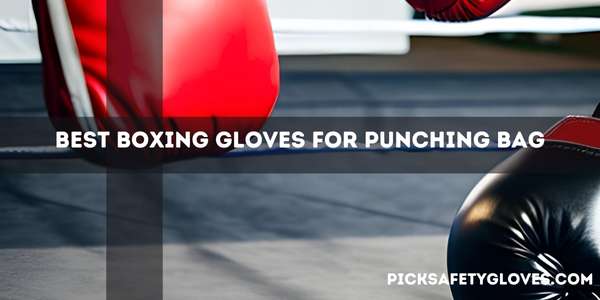 Best Boxing Gloves For Punching Bag