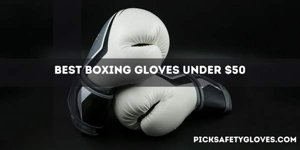 Best Boxing Gloves Under $50