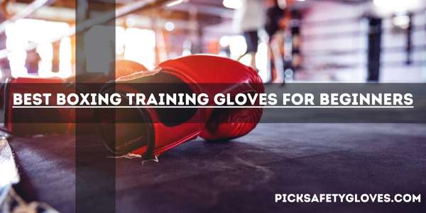 Best Boxing Training Gloves For Beginners