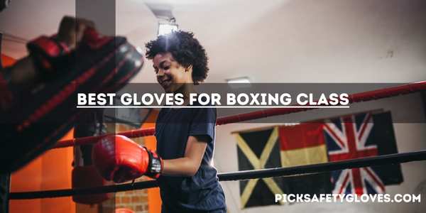 Best Gloves For Boxing Class