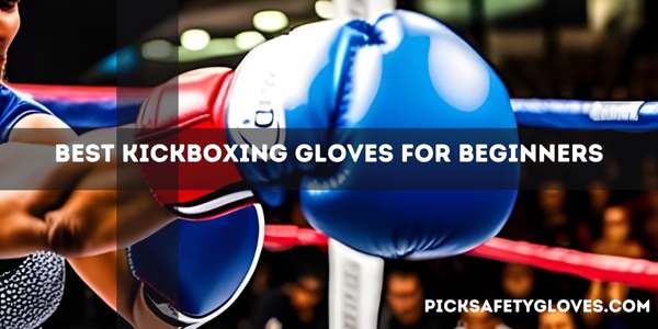 Best Kickboxing Gloves For Beginners