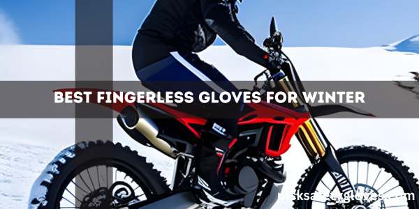 Best Cold Weather Riding Gloves
