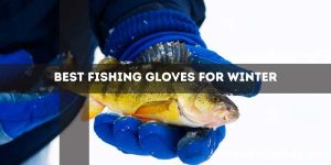 Best Fishing Gloves For Winter